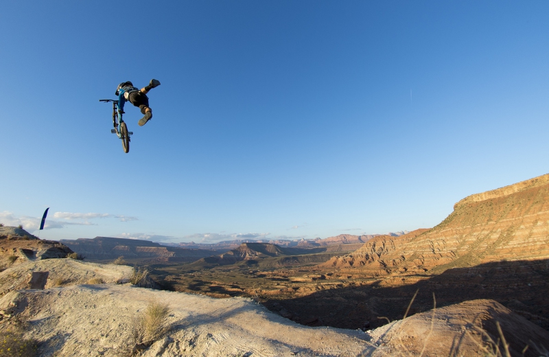 Cam McCaul